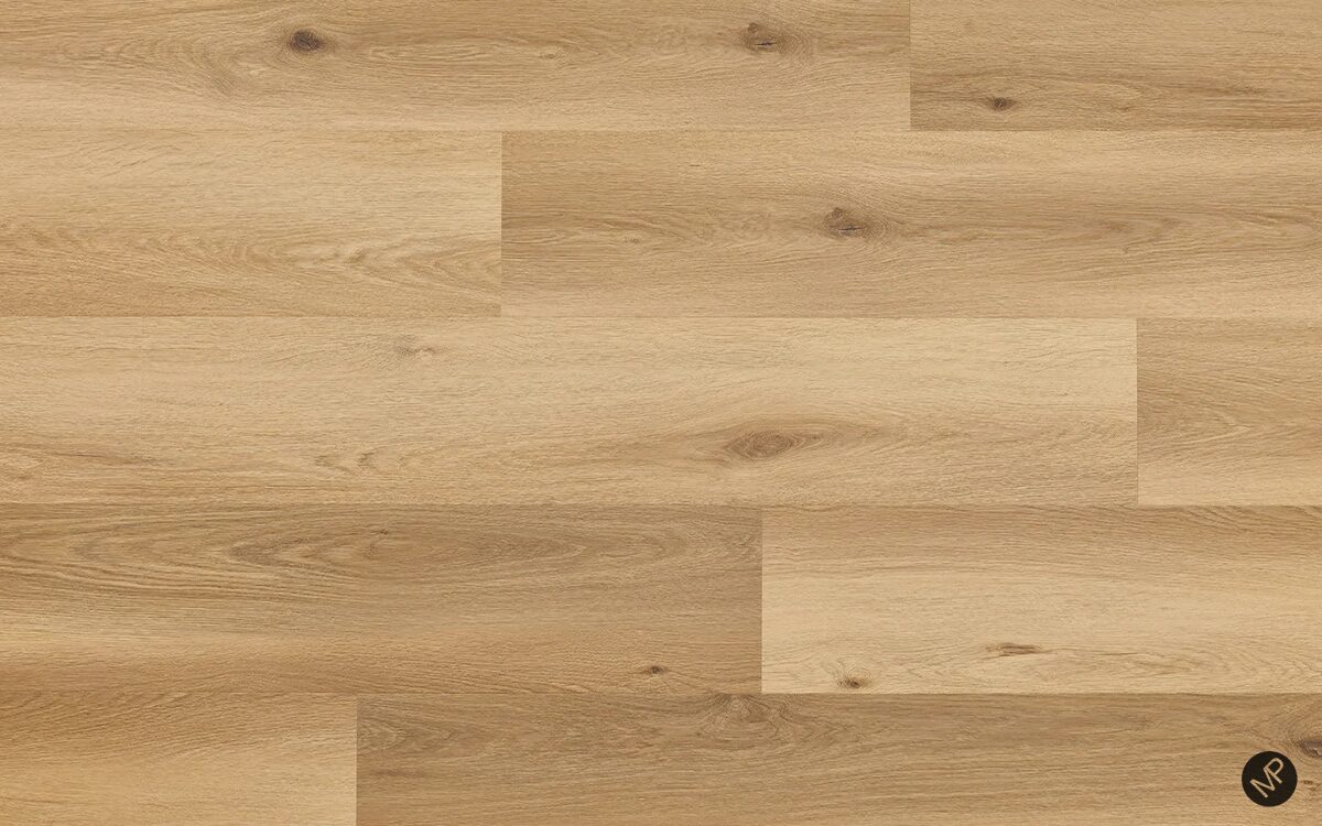 Cavaillon Oak - Image 3