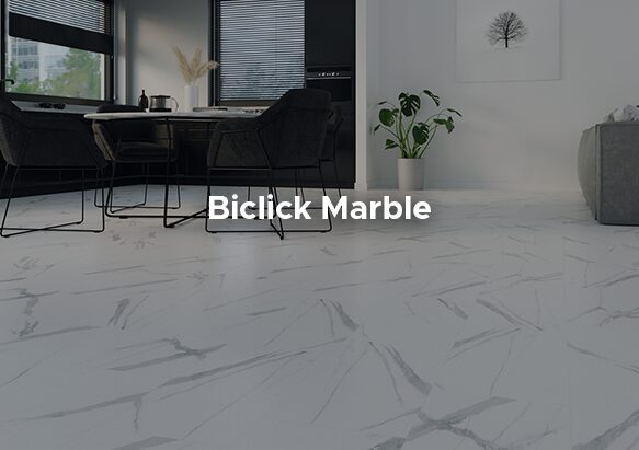 Copertina-Fronte-Biclick-Marble-Collection