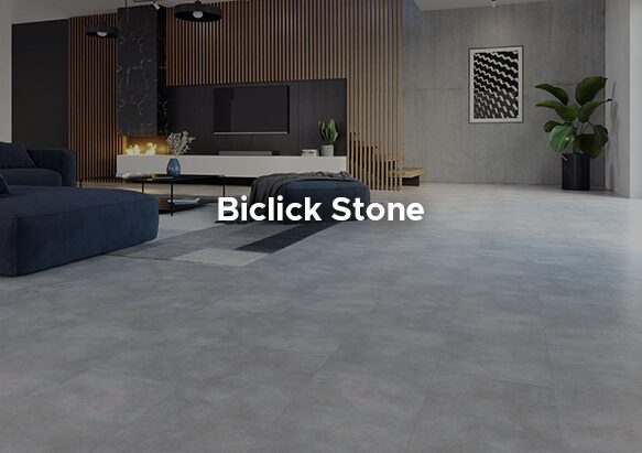 Copertina-Fronte-Biclick-Stone-Collection