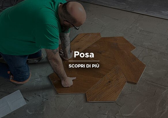 Copertina-retro-Posa
