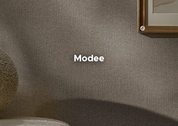 Copertina-Fronte-Modee-a