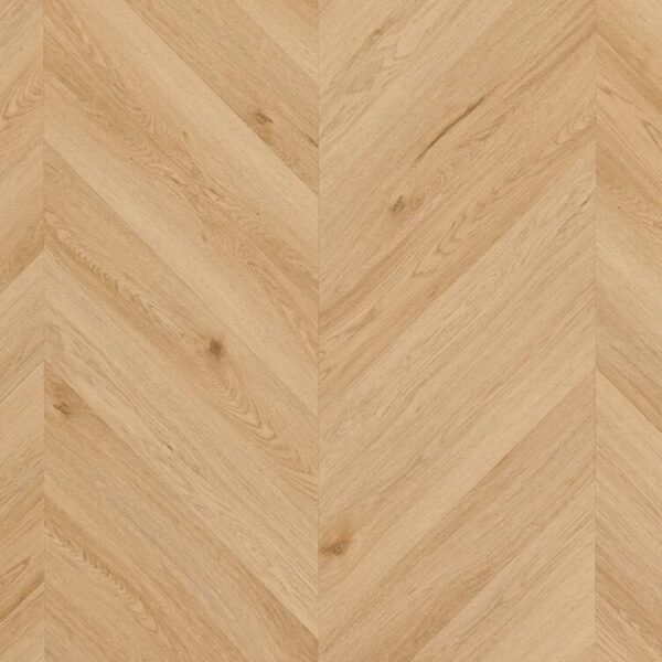 Yankee Oak