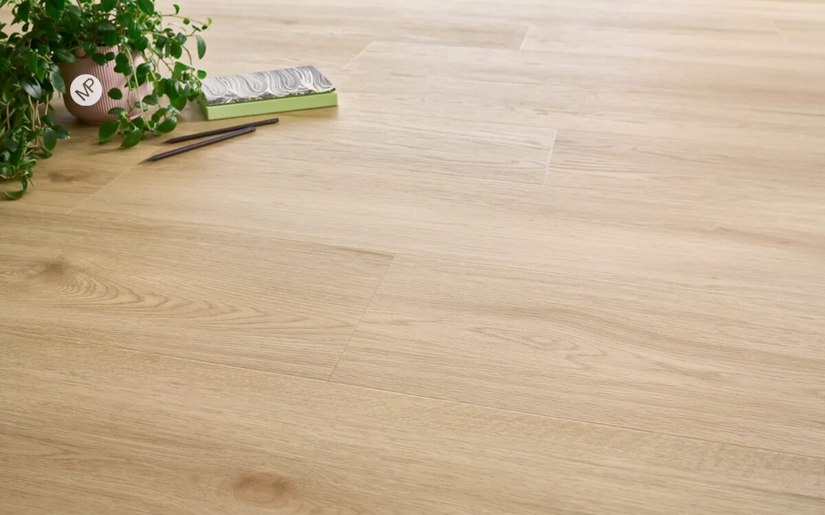 Amaron-Harlow-Oak-Ambient