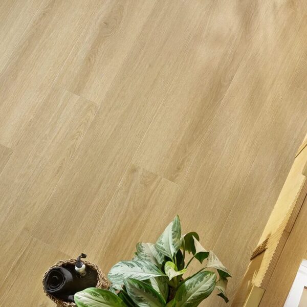Cordoba Oak