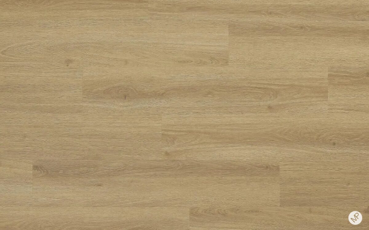 Cordoba Oak - Image 3