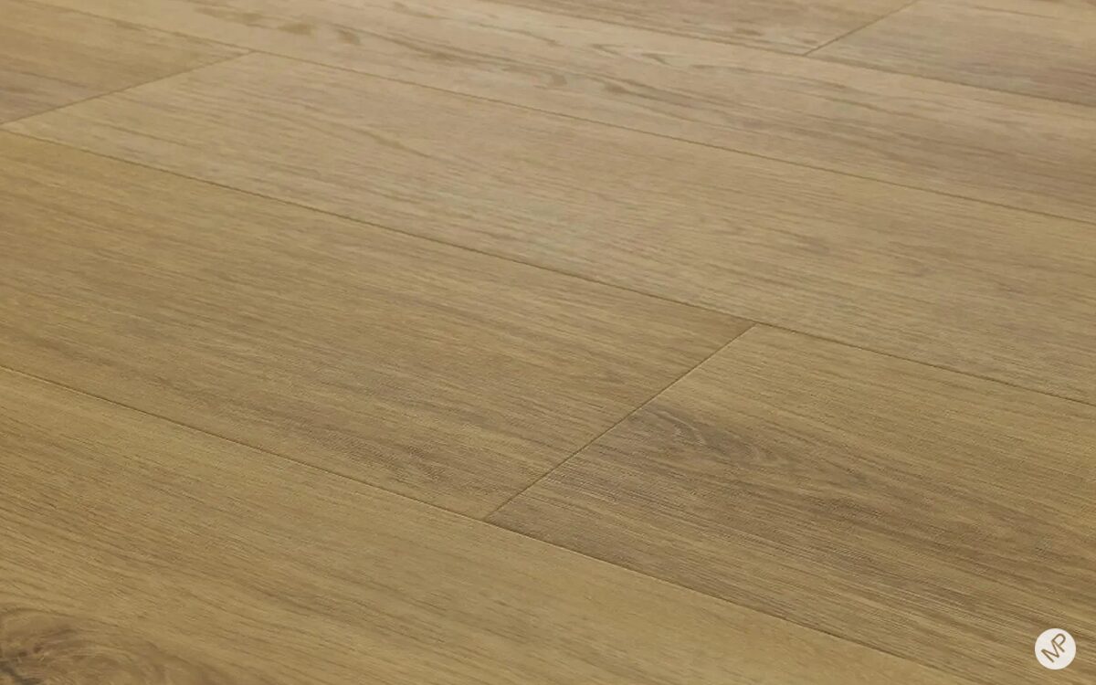 Glenmore Oak - Image 3
