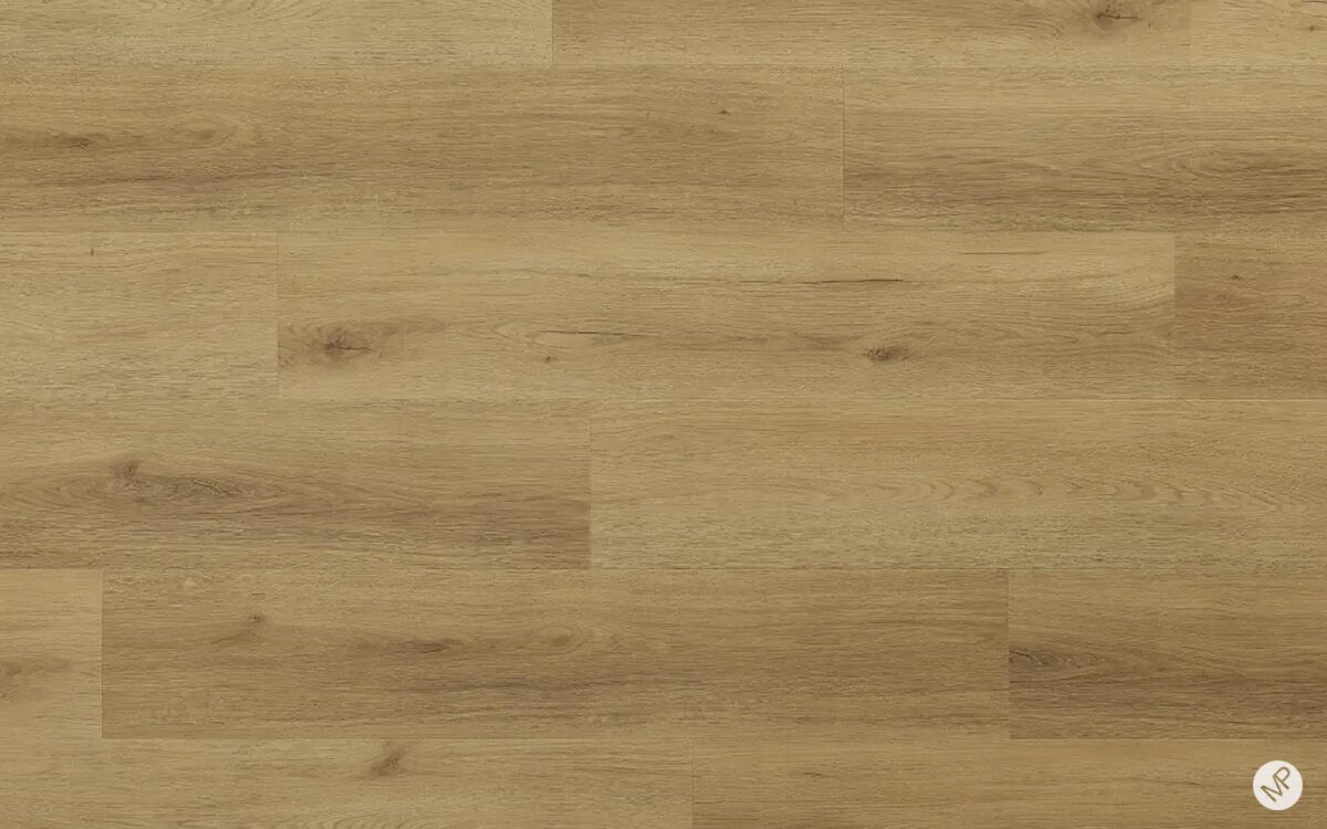 Glenmore Oak - Image 2