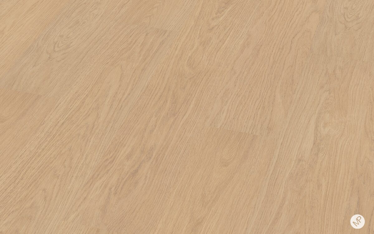 Roble Arroyo - Image 3