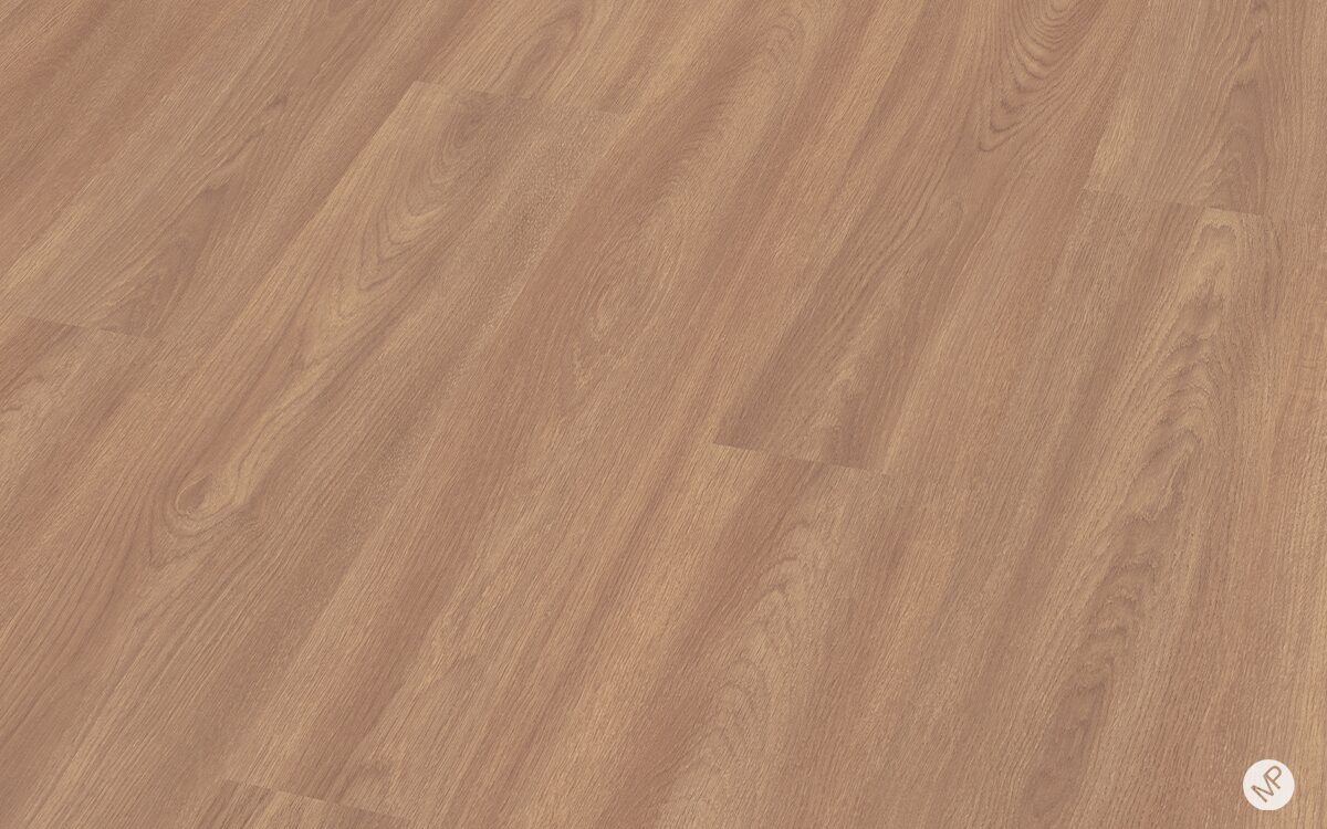 Roble Lira - Image 3