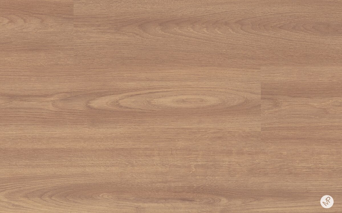 Roble Lira - Image 2