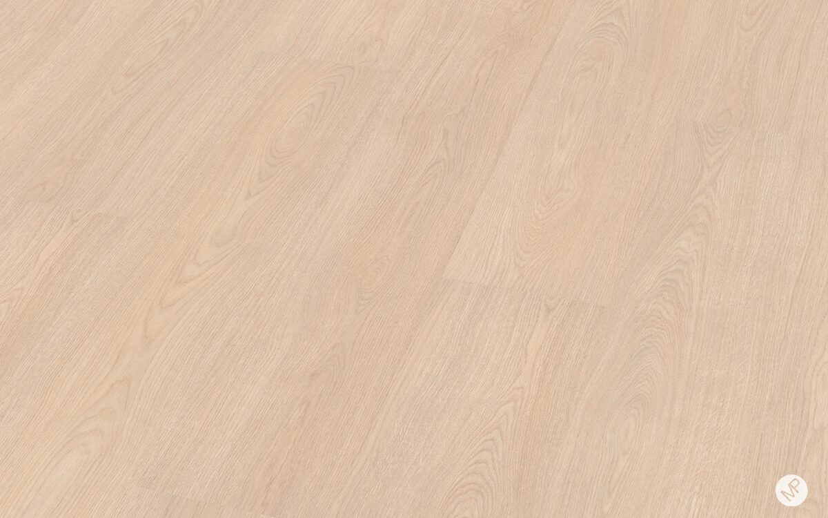 Roble Lucero - Image 3