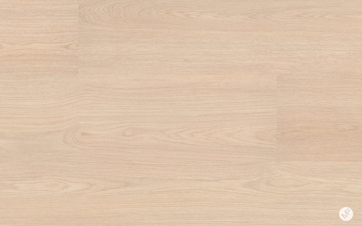 Roble Lucero - Image 2
