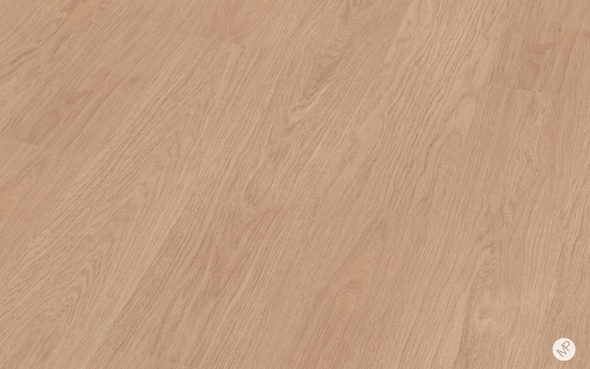 Roble Senda - Image 3