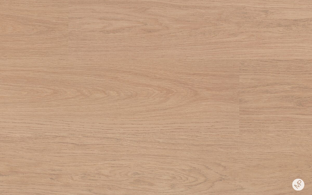 Roble Senda - Image 2