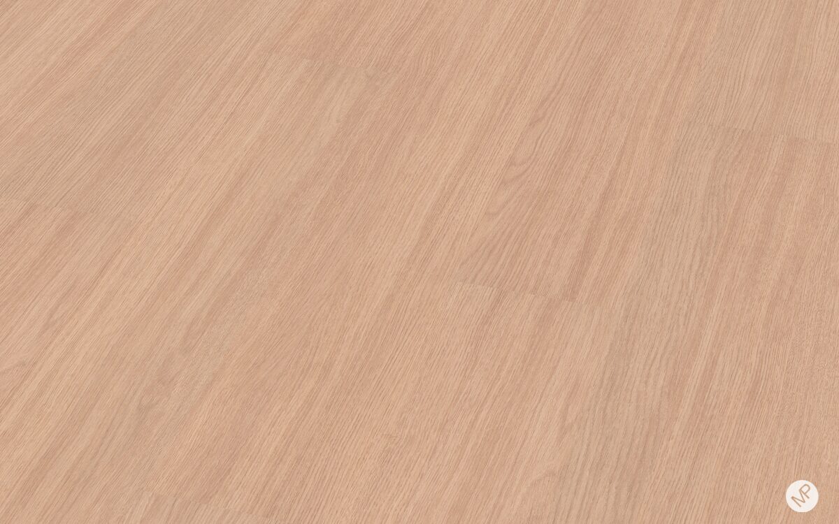 Serenade Alba - Image 3