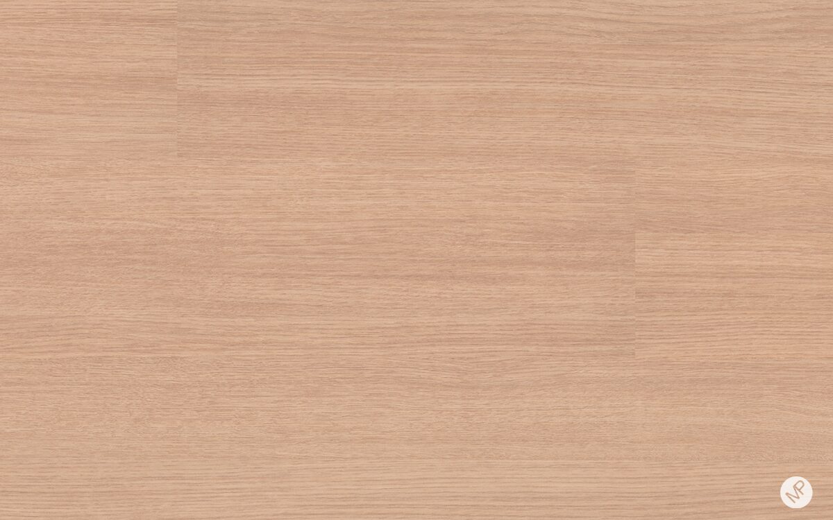 Serenade Alba - Image 2