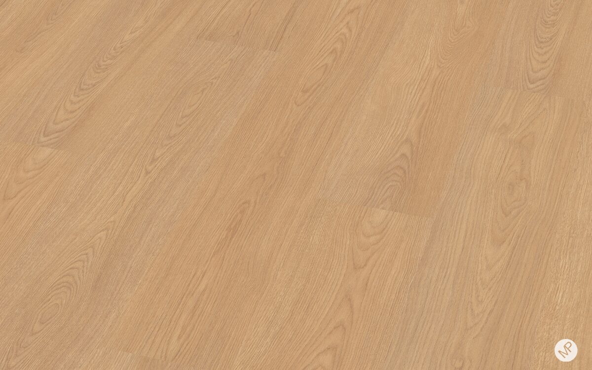Roble Solano - Image 3