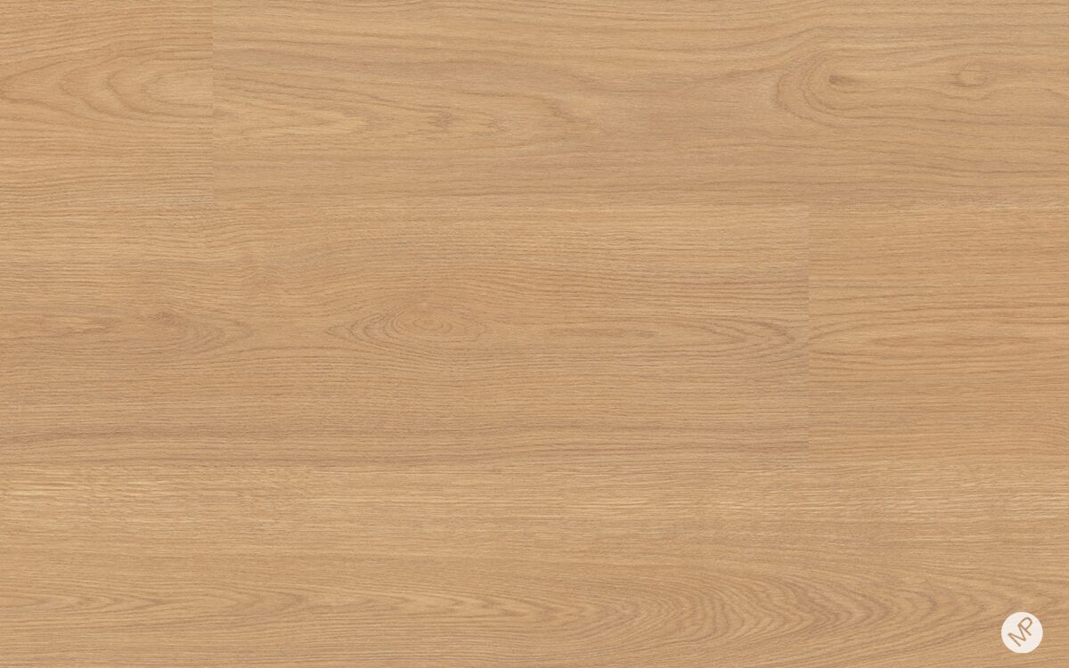 Roble Solano - Image 2