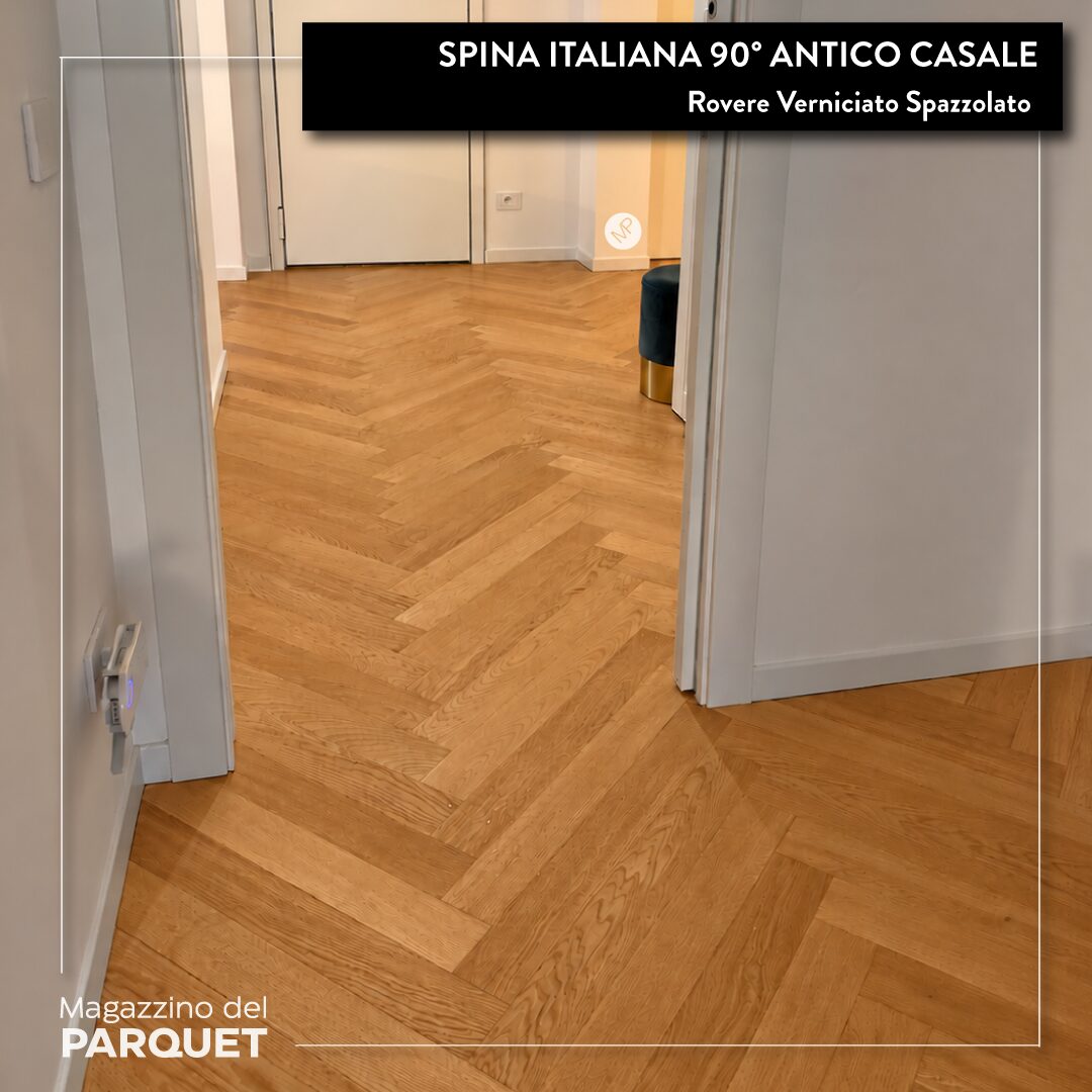 Spina-Italiana-Antico-Casale-12