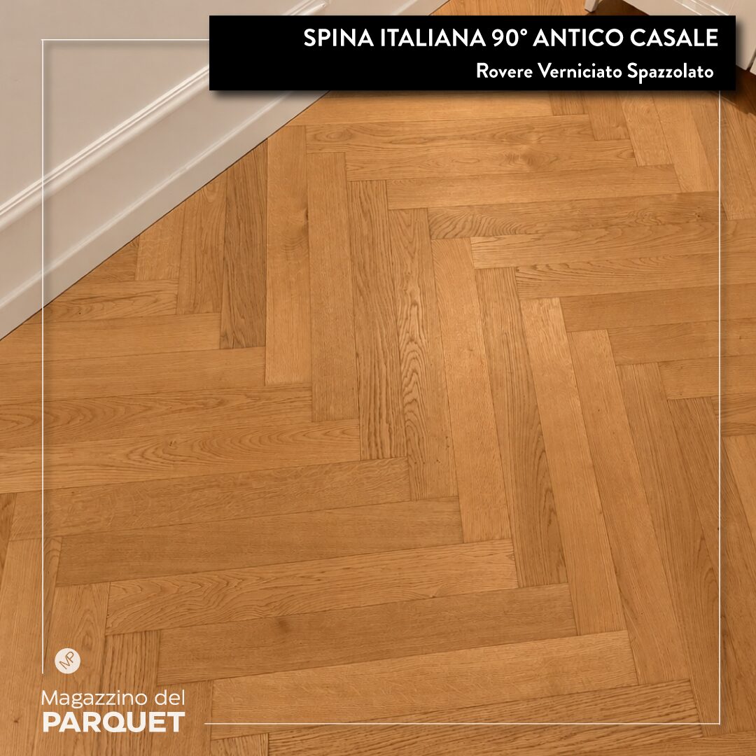 Spina-Italiana-Antico-Casale-14