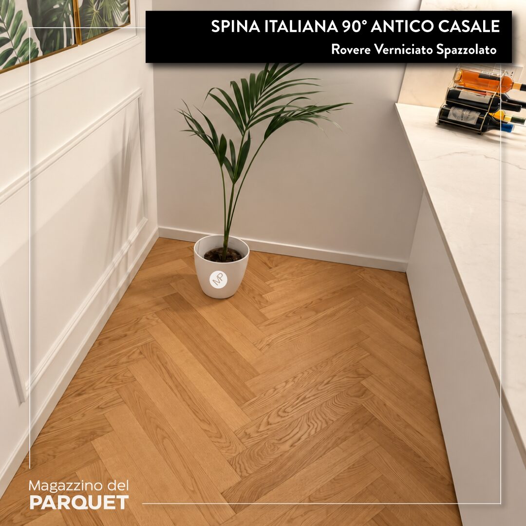 Spina-Italiana-Antico-Casale-19