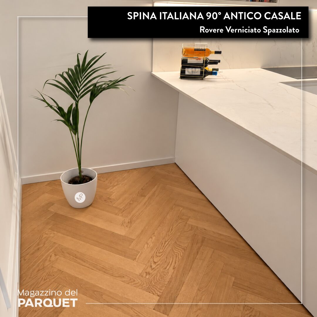 Spina-Italiana-Antico-Casale-5