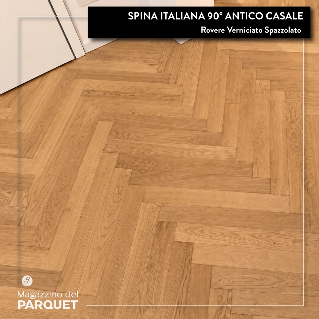 Spina-Italiana-Antico-Casale-6